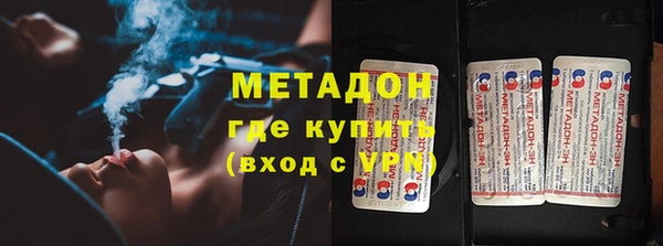 гашик Алексин