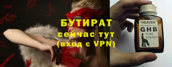 гашик Алексин