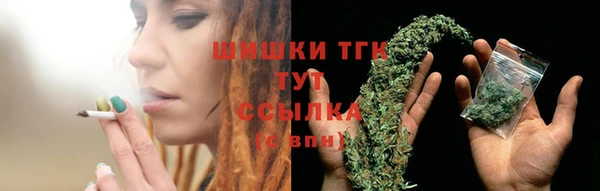гашик Алексин