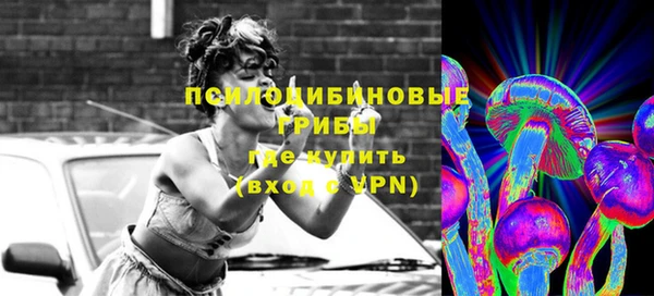 спиды Алексеевка