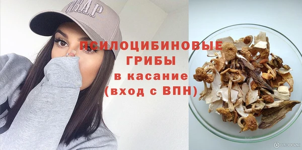 амф Абаза
