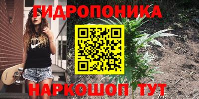 МДПВ Мариинск