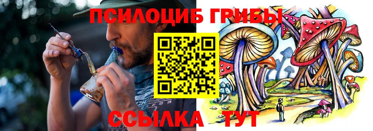 Тверь  Галлюциногенные грибы Psilocybine cubensis  даркнет сайт  Вход с VPN 