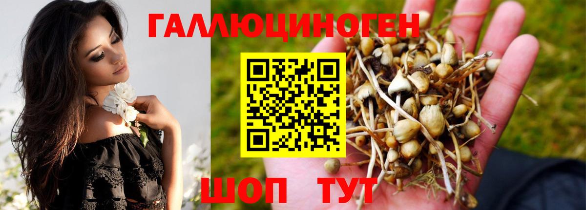 Псилоцибиновые грибы мицелий Тверь